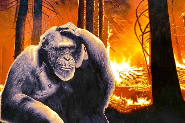 Monkeys: You Don't Listen by Stephen Hall