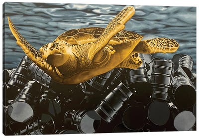 Seriously Canvas Art Print - Turtle Art