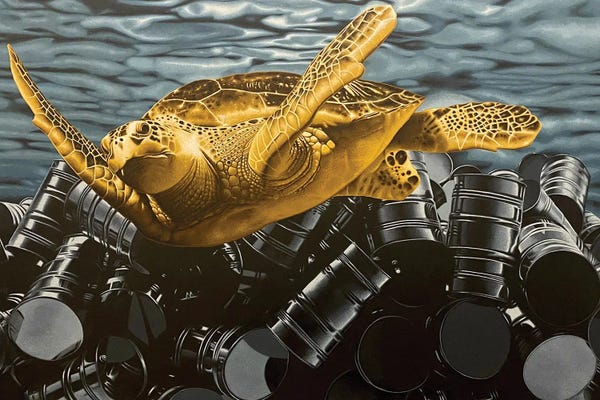 Turtles: Seriously by Stephen Hall