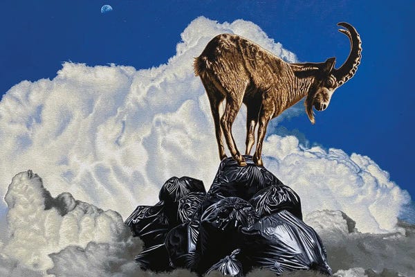 Goats: Tip Top by Stephen Hall