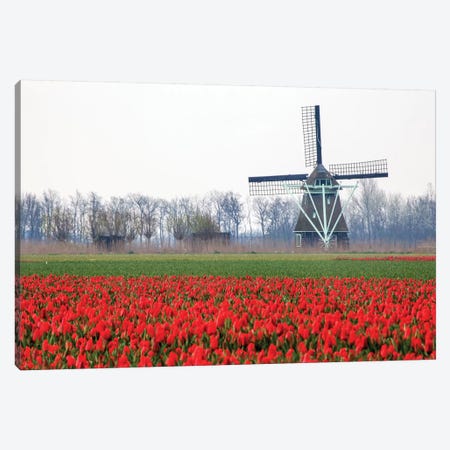 Netherlands, Old wooden windmill in a field of red tulips Canvas Print #HLO11} by Hollice Looney Canvas Wall Art
