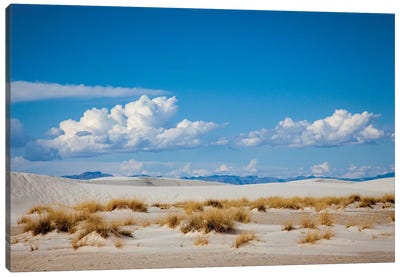 New Mexico. White Sands National Monument landscape of sand dunes and mountains II Canvas Art Print