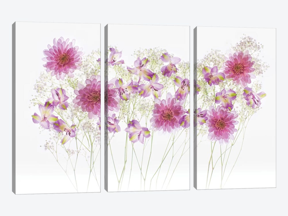 USA, Florida. Floral bounty I by Hollice Looney 3-piece Canvas Artwork
