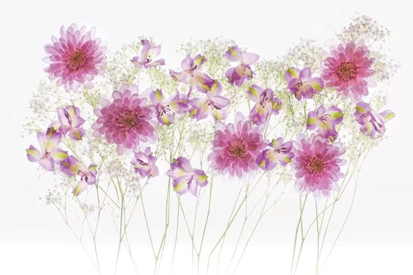 Hollice Looney: USA, Florida. Floral bounty I by Hollice Looney