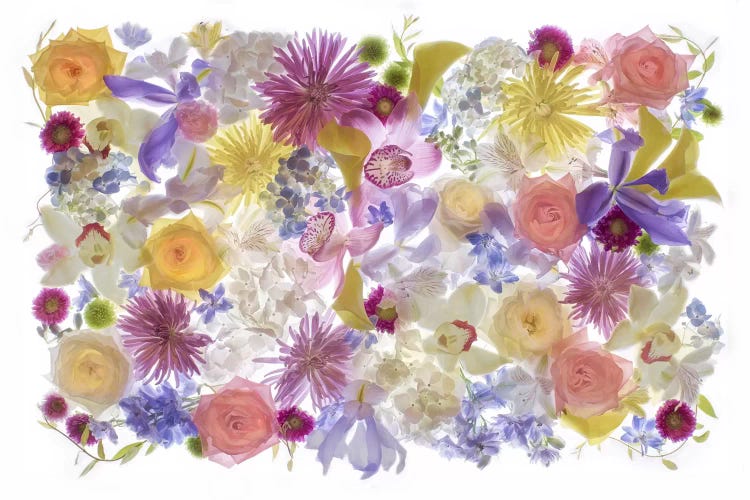 USA, Florida. Floral bounty II by Hollice Looney canvas print