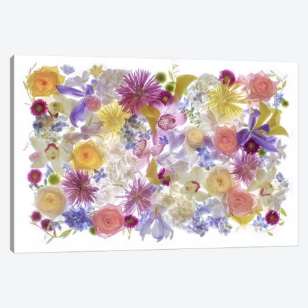USA, Florida. Floral bounty II Canvas Print #HLO17} by Hollice Looney Canvas Print
