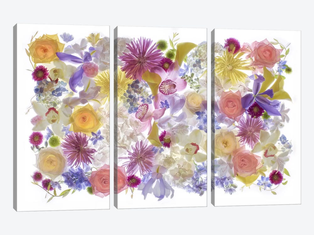 USA, Florida. Floral bounty II by Hollice Looney 3-piece Canvas Art Print