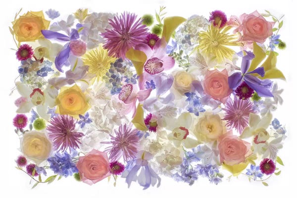 Hollice Looney: USA, Florida. Floral bounty II by Hollice Looney