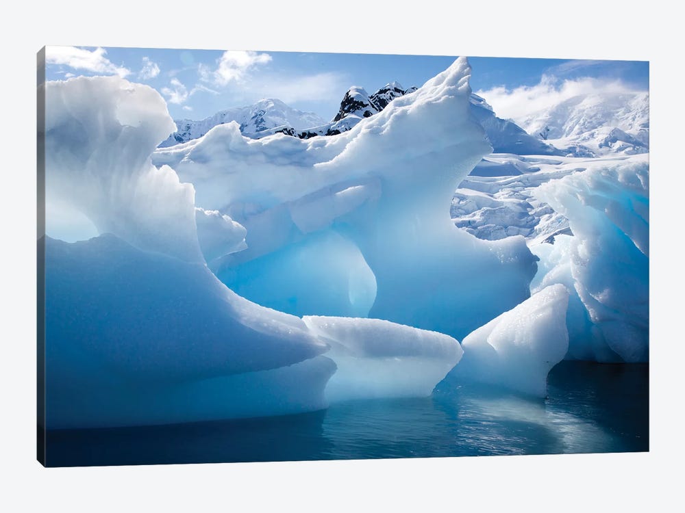 Antarctica, Paradise Bay, iceberg by Hollice Looney 1-piece Canvas Art Print