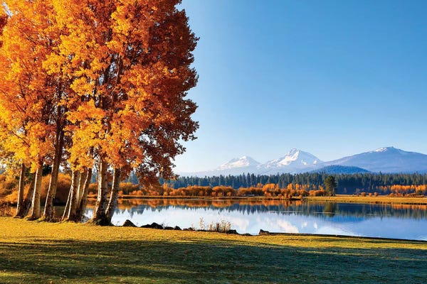 Oregon: USA, Oregon, Bend, Fall at Black Butte Ranch in Central Oregon I by Hollice Looney