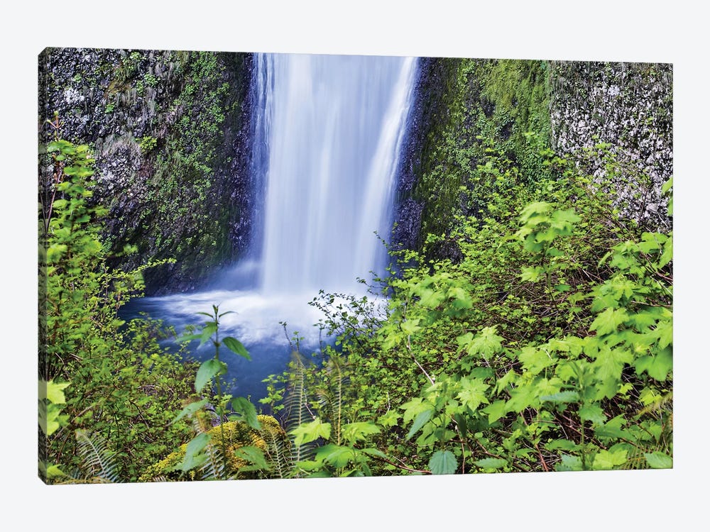 USA, Oregon, Columbia River Gorge, Multnomah Falls by Hollice Looney 1-piece Canvas Art Print