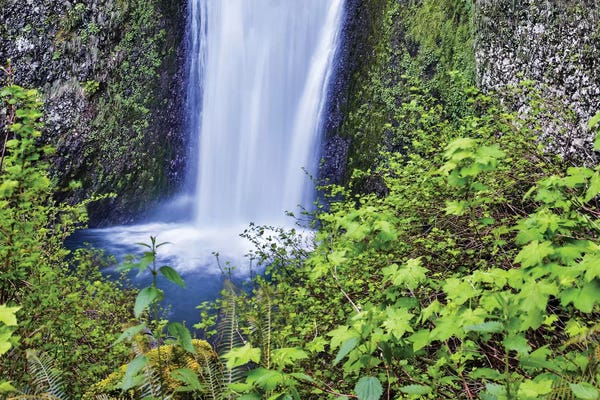 Oregon: USA, Oregon, Columbia River Gorge, Multnomah Falls by Hollice Looney