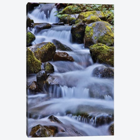 USA, Oregon, Columbia River Gorge, Water Cascading over Rocks at Punchbowl Falls Canvas Print #HLO36} by Hollice Looney Art Print