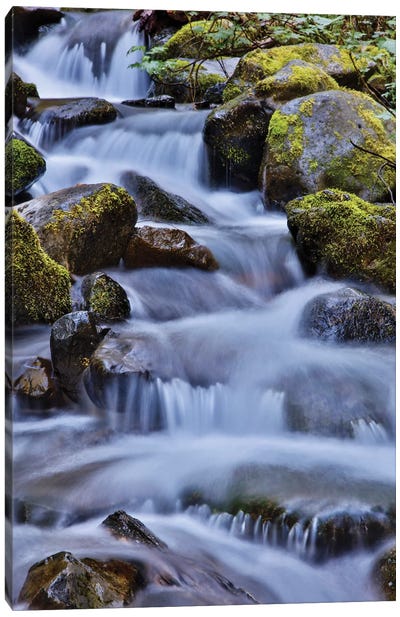 USA, Oregon, Columbia River Gorge, Water Cascading over Rocks at Punchbowl Falls Canvas Art Print