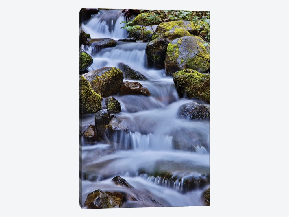 USA, Oregon, Columbia River Gorge, Water Cascading over Rocks at Punchbowl Falls by Hollice Looney 1-piece Canvas Artwork
