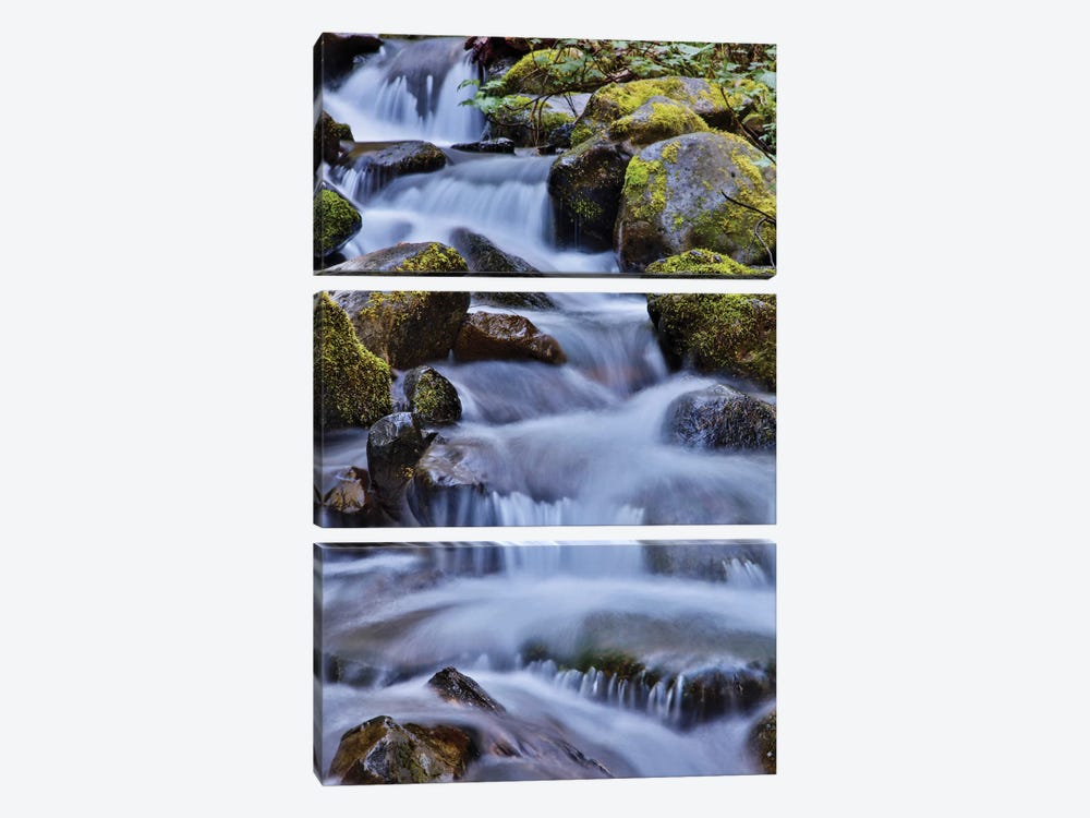 USA, Oregon, Columbia River Gorge, Water Cascading over Rocks at Punchbowl Falls by Hollice Looney 3-piece Canvas Art