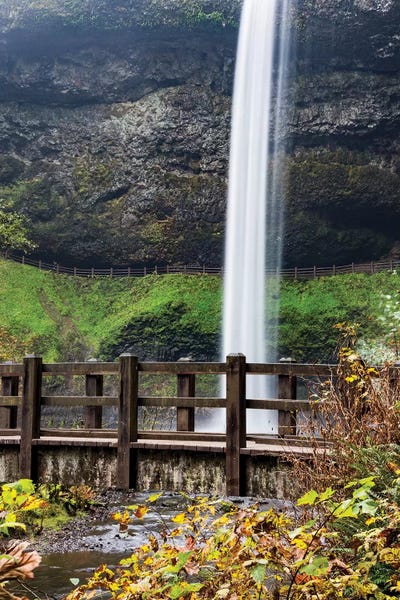 Hollice Looney: USA, Oregon, Silver Falls State Park, Falls by Hollice Looney