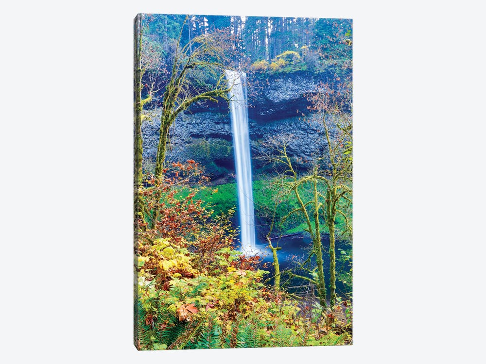 USA, Oregon, Silver Falls State Park, South Falls by Hollice Looney 1-piece Canvas Artwork