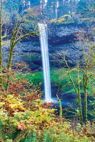 Hollice Looney: USA, Oregon, Silver Falls State Park, South Falls by Hollice Looney