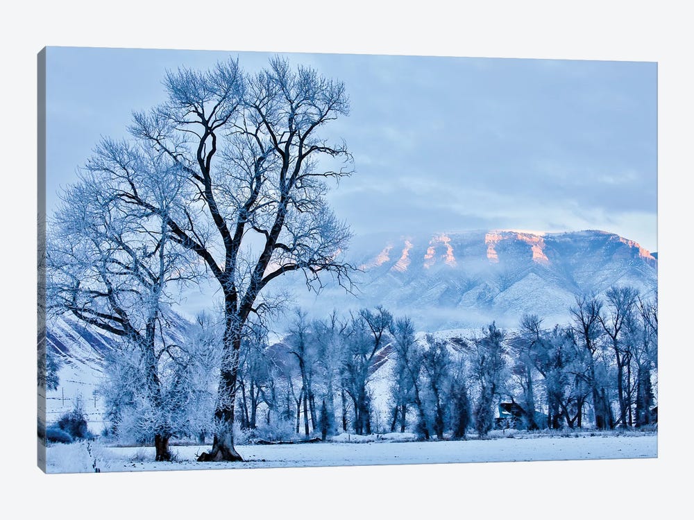 USA, Wyoming, Shell, Hoar Frost in the Valley  by Hollice Looney 1-piece Canvas Print