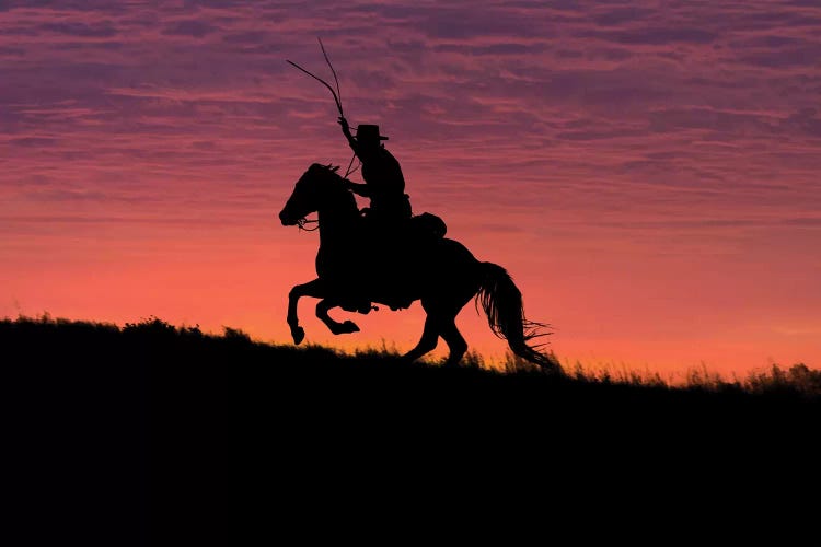 USA, Wyoming, Shell, The Hideout Ranch, Silhouette of Cowboy and Horse at Sunset 