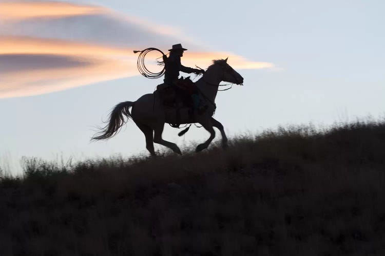 USA, Wyoming, Shell, The Hideout Ranch, Silhouette of Cowgirl with Horse at Sunset II