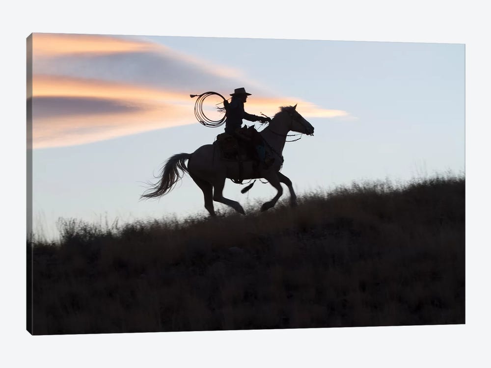 USA, Wyoming, Shell, The Hideout Ranch, Silhouette of Cowgirl with Horse at Sunset II by Hollice Looney 1-piece Art Print