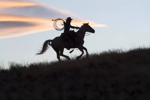 Hollice Looney: USA, Wyoming, Shell, The Hideout Ranch, Silhouette of Cowgirl with Horse at Sunset II by Hollice Looney