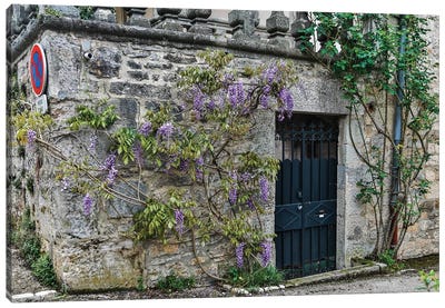 Wisteria Covered Stone Wall And Doorway, Cajarc, France Canvas Art Print