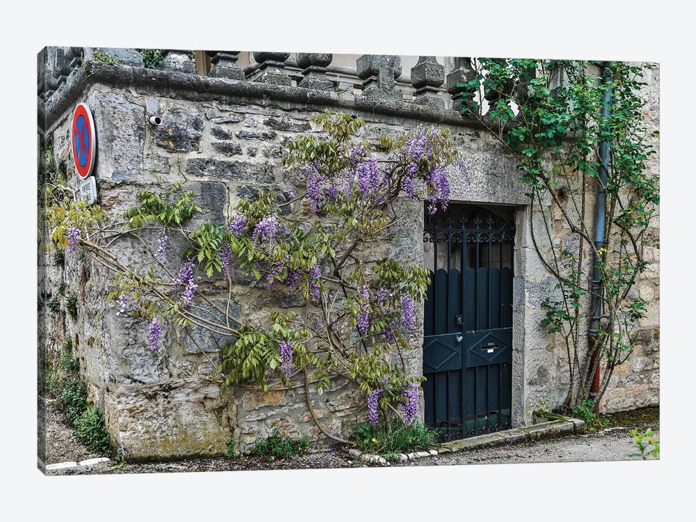 Wisteria Covered Stone Wall And Doorway, Cajarc, France by Hollice Looney 1-piece Canvas Print