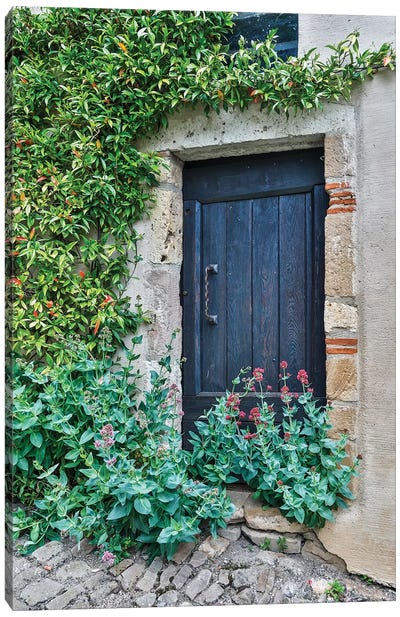 France, Cordes-sur-Ciel. Blue doorway Canvas Art Print - Plant Art
