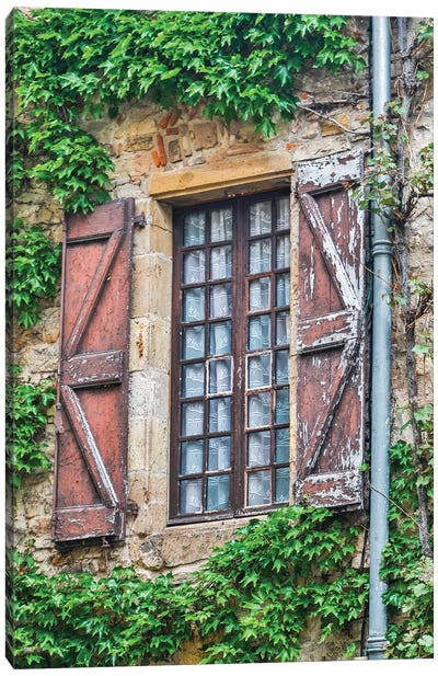 Weathered Shutters & Windows, Cordes-sur-Ciel, France Canvas Art Print - Ivy & Vines
