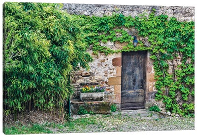 Wooden Doorway In Vine Covered Stone Wall, Cordes-sur-Ciel, France Canvas Art Print - Ivy & Vines