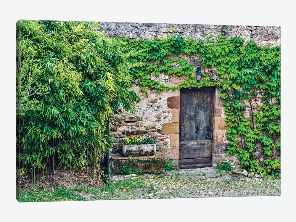 Wooden Doorway In Vine Covered Stone Wall, Cordes-sur-Ciel, France by Hollice Looney 1-piece Canvas Art Print