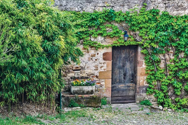 Hollice Looney: Wooden Doorway In Vine Covered Stone Wall, Cordes-sur-Ciel, France by Hollice Looney