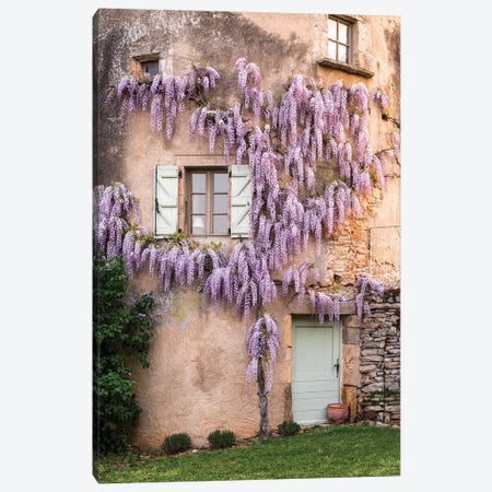 Wisteria Growing On A Turret Of The Home, Mas de Garrigue, La Garrigue, France Canvas Print #HLO52} by Hollice Looney Canvas Wall Art