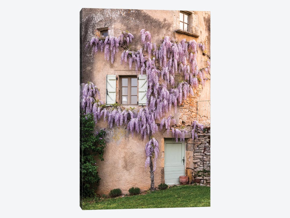 Wisteria Growing On A Turret Of The Home, Mas de Garrigue, La Garrigue, France by Hollice Looney 1-piece Canvas Wall Art
