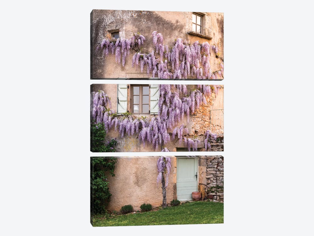 Wisteria Growing On A Turret Of The Home, Mas de Garrigue, La Garrigue, France by Hollice Looney 3-piece Canvas Art