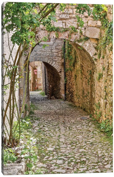 France, Saint-Cirq Lapopie. Tunneled walkway Canvas Art Print - Ivy & Vine Art