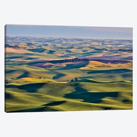 USA, Washington State, Palouse. View from Steptoe Butte. Canvas Print #HLO78} by Hollice Looney Canvas Artwork