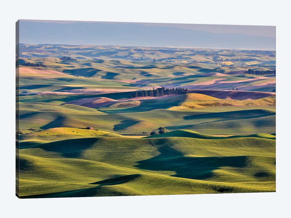 View From Steptoe Butte I, Palouse, Washington, USA by Hollice Looney 1-piece Canvas Art