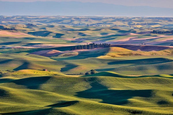 Hollice Looney: View From Steptoe Butte I, Palouse, Washington, USA by Hollice Looney