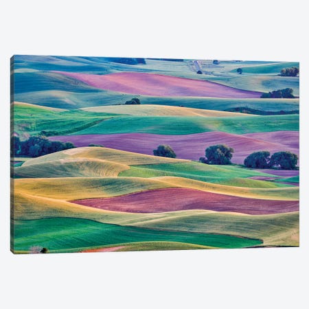 USA, Washington State, Palouse. View from Steptoe Butte. Canvas Print #HLO79} by Hollice Looney Canvas Wall Art