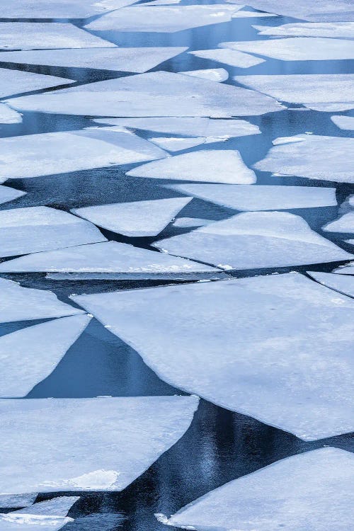 Norway, Lofoten Islands Broken Ice On Lake Storvatent