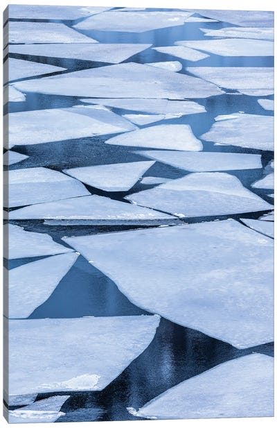 Norway, Lofoten Islands Broken Ice On Lake Storvatent Canvas Art Print