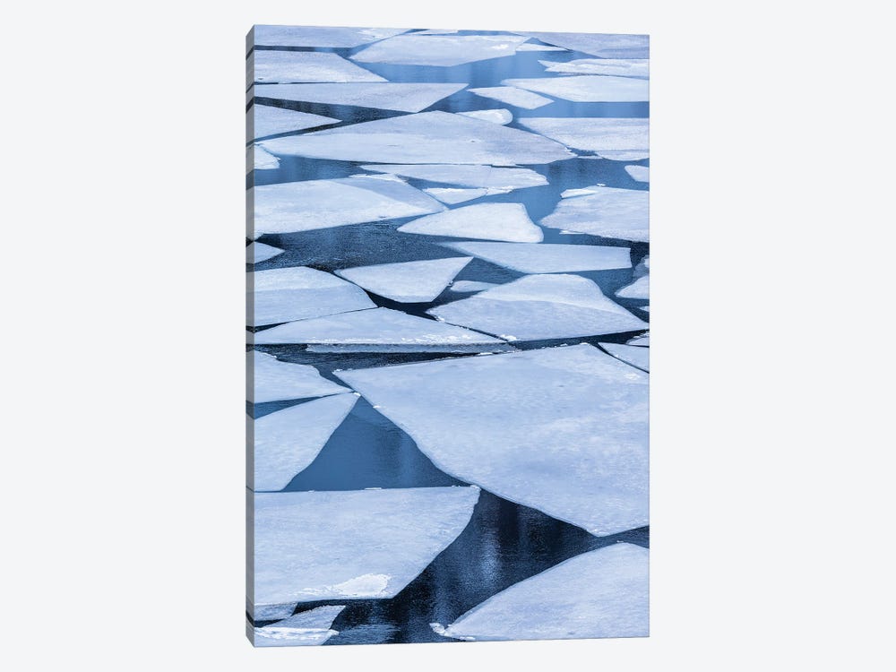 Norway, Lofoten Islands Broken Ice On Lake Storvatent by Hollice Looney 1-piece Canvas Art