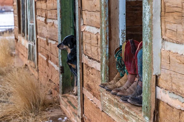 Wyoming: USA, Wyoming Hideout Horse Ranch, Boots On Display by Hollice Looney