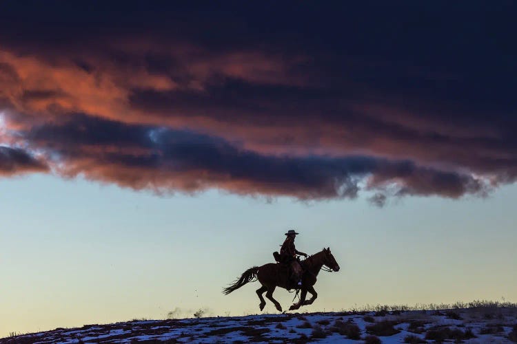 USA, Wyoming Hideout Horse Ranch, Wrangler And Horse At Sunset I by Hollice Looney wall art
