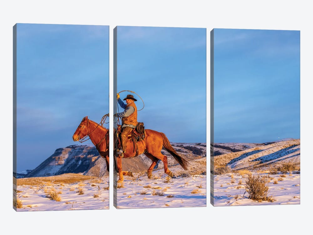USA, Wyoming Hideout Horse Ranch, Wrangler And Horse In Snow by Hollice Looney 3-piece Canvas Wall Art