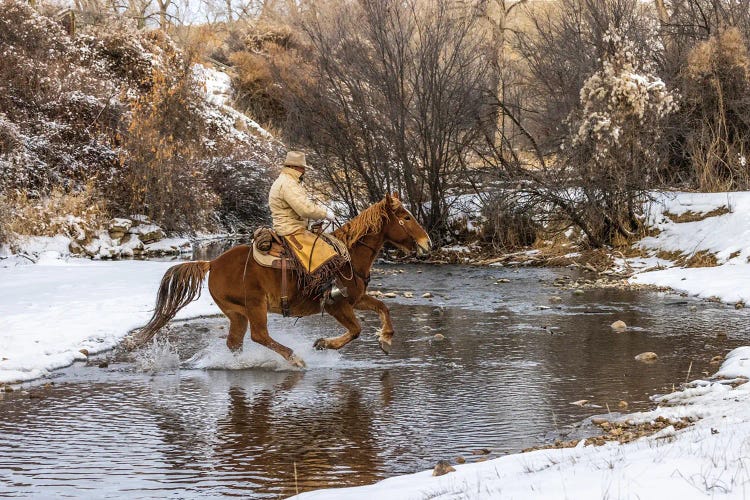 USA, Wyoming Hideout Horse Ranch, Wrangler Crossing The Stream On Horseback by Hollice Looney wall art